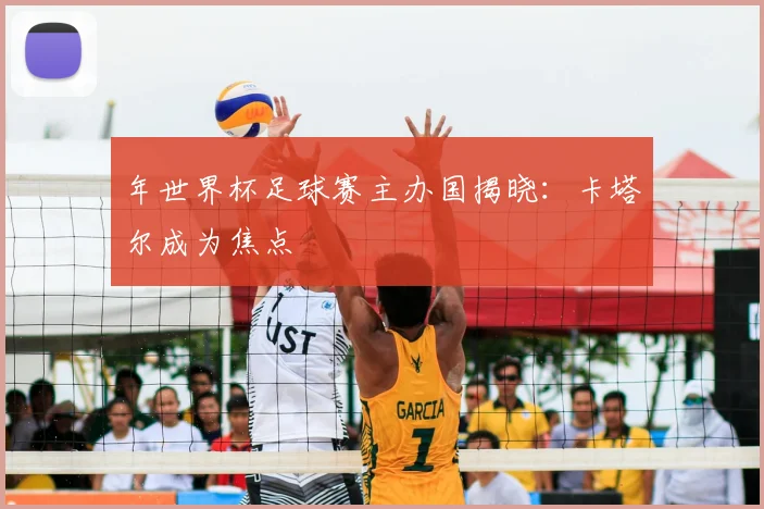 年世界杯足球赛主办国揭晓:卡塔尔成为焦点