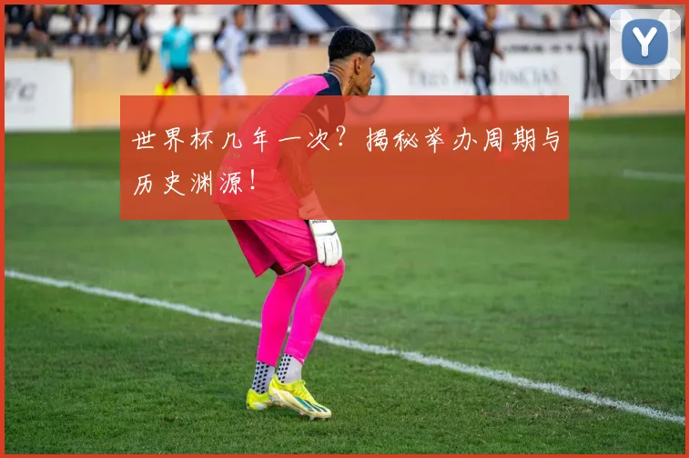 世界杯几年一次?揭秘举办周期与历史渊源!