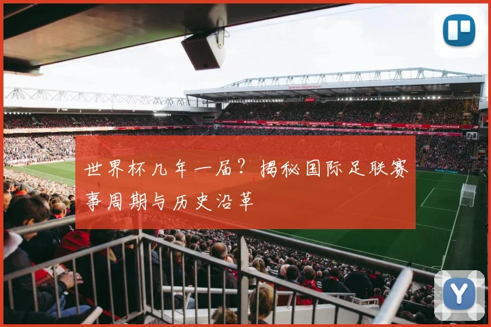 世界杯几年一届？揭秘国际足联赛事周期与历史沿革